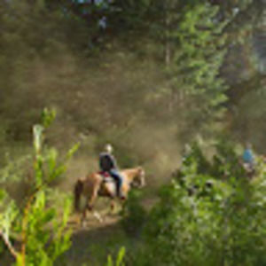 Meet your Posher, Katelyn